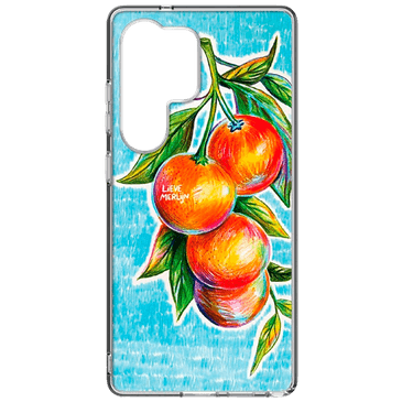 Samsung Lieve Merlijn Mandarin Back Cover Samsung Galaxy S25 Ultra