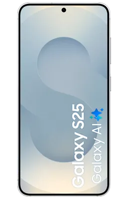 Samsung Galaxy S25 256GB S931 Prata Enterprise Edition